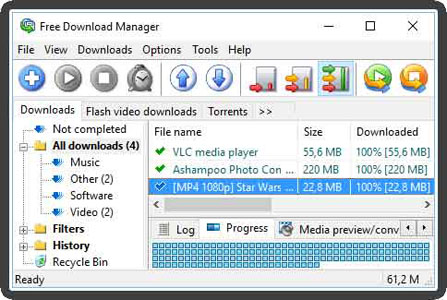 download manager pro customize web player